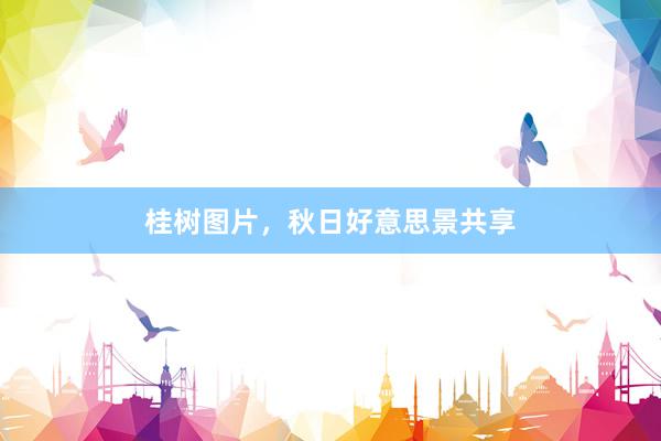 桂树图片，秋日好意思景共享